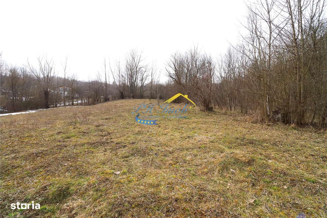 Teren Intravilan de vanzare, Provita de Sus-1