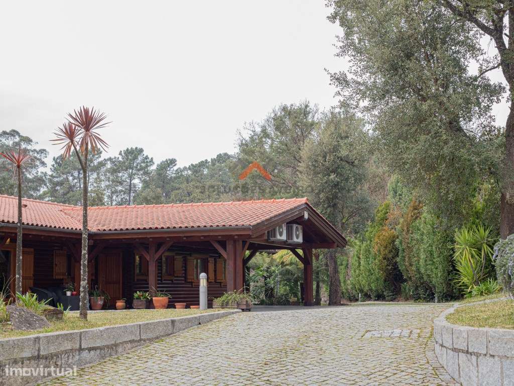 Fantástica Quinta em Oliveira de Azemeís!!! - Grande imagem: 3/60