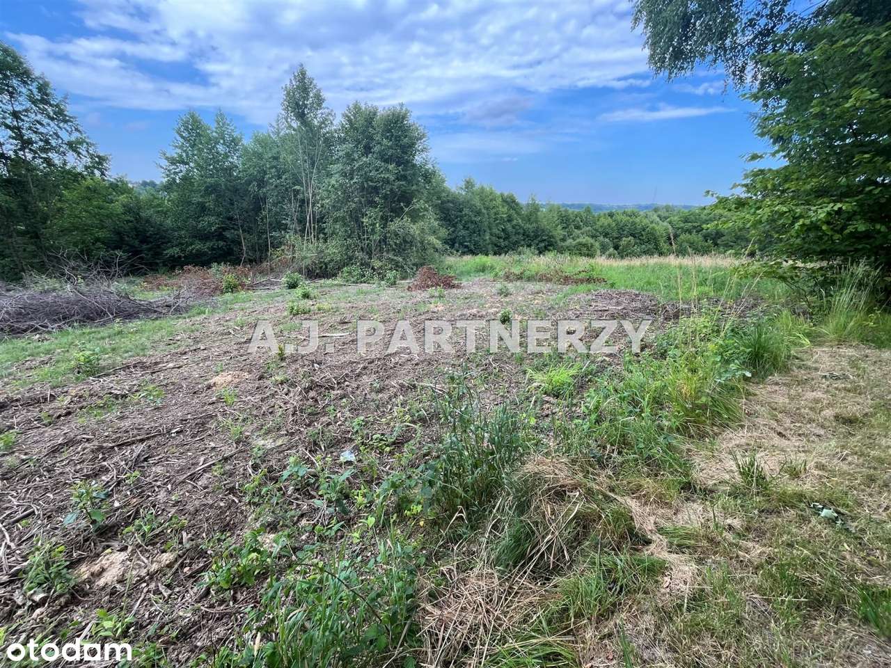 Działka budowlana z mediami w Golkowicach-6