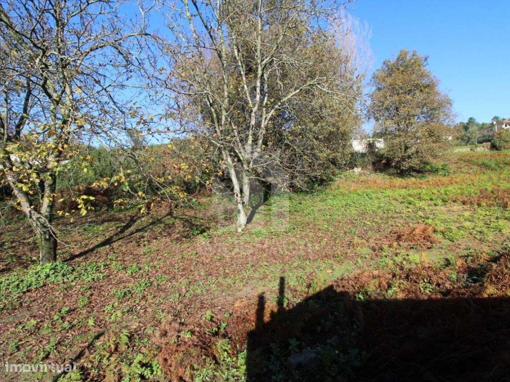 Venda de Terreno para Lotear, em Gualtar, Braga-5