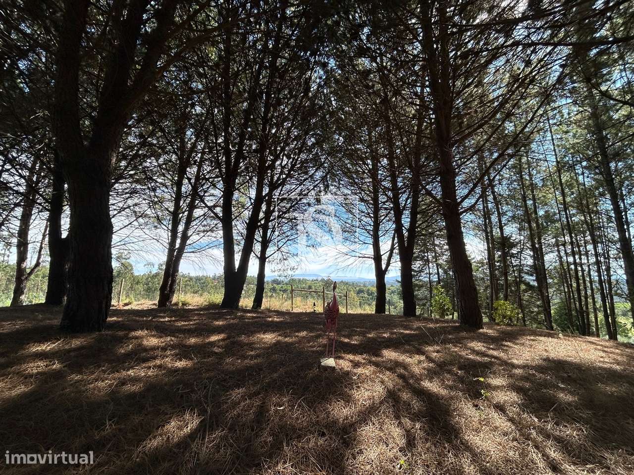 Quinta T6 Venda em Santa Comba Dão e Couto do Mosteiro,Santa Comba Dão-33