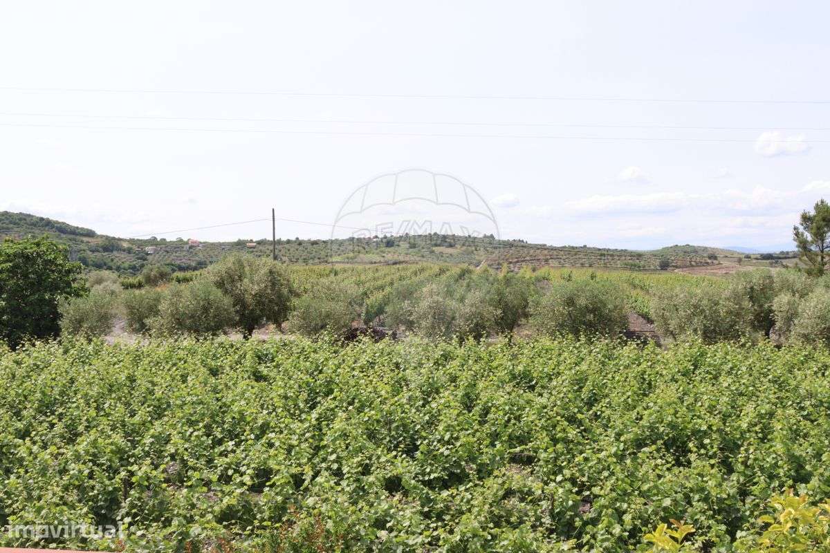 Terreno  para venda - Grande imagem: 3/14