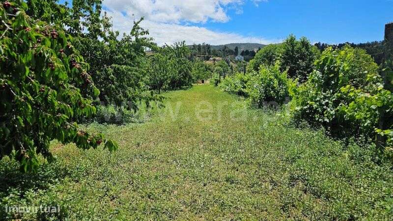 Quintinha / Fundão, Castelejo - Grande imagem: 3/7