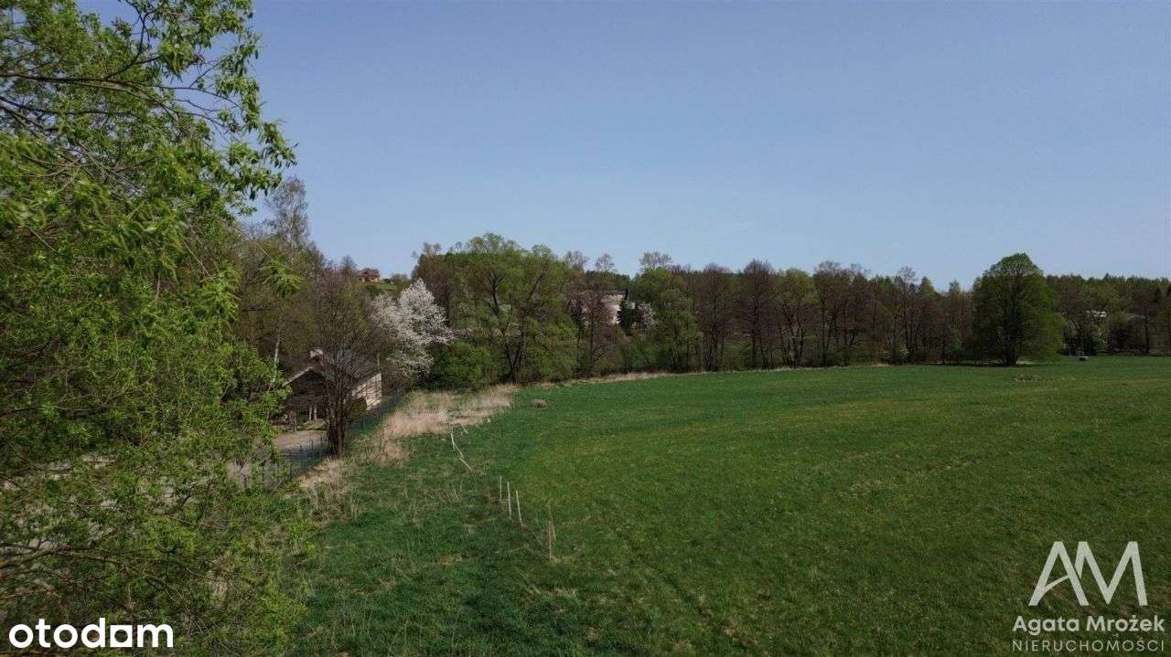 Okazja cenowa!!!Dzialka pod zabudowę jednorodzinną - Pełny obrazek: 4/10