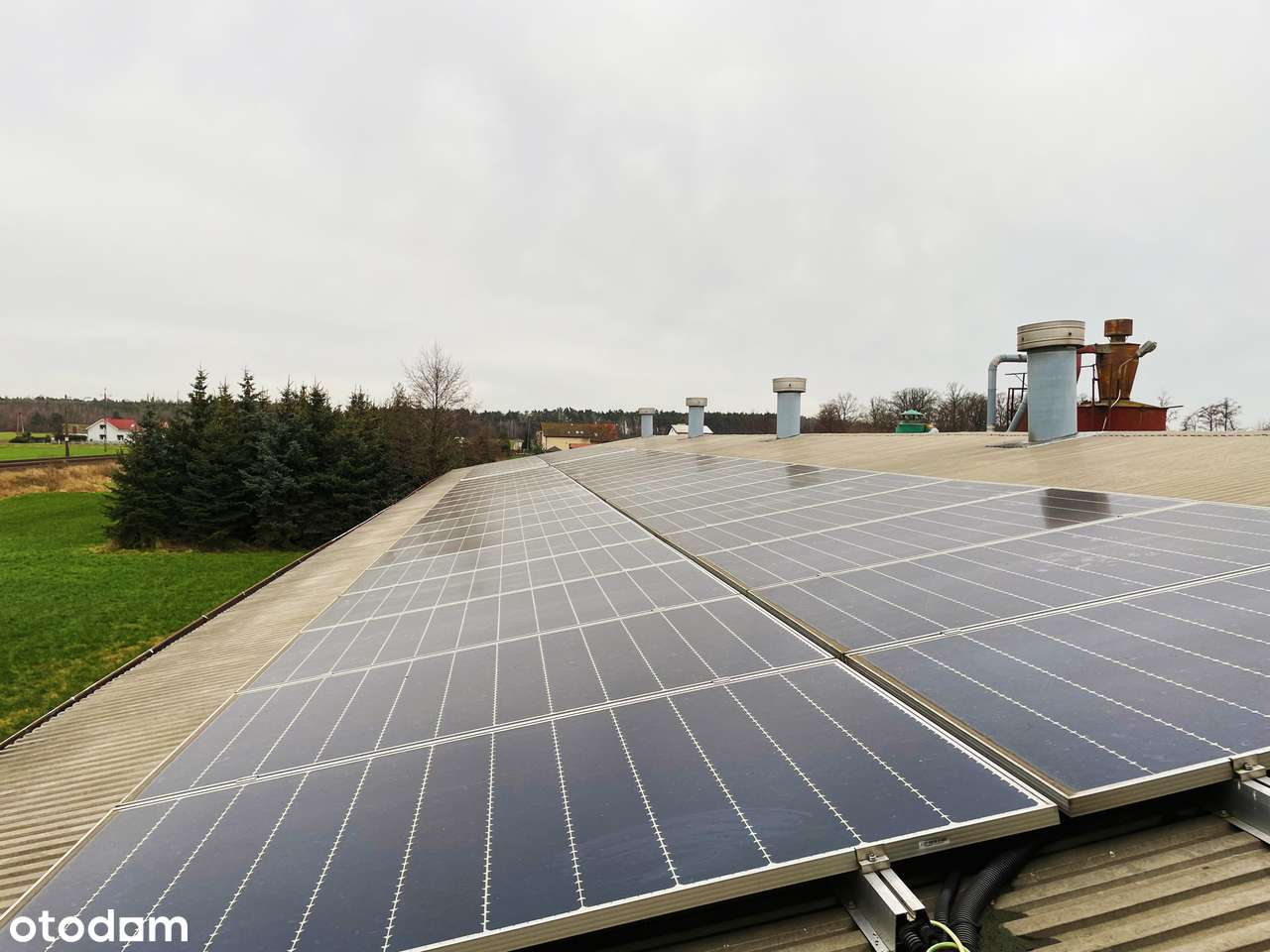 HALE + DOM - SZCZURAWICE - NA SPRRZEDAŻ!-11