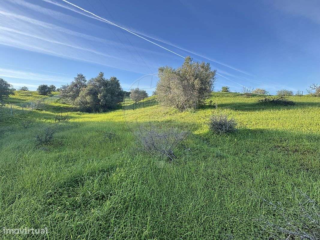 Terreno  para venda - Grande imagem: 4/10