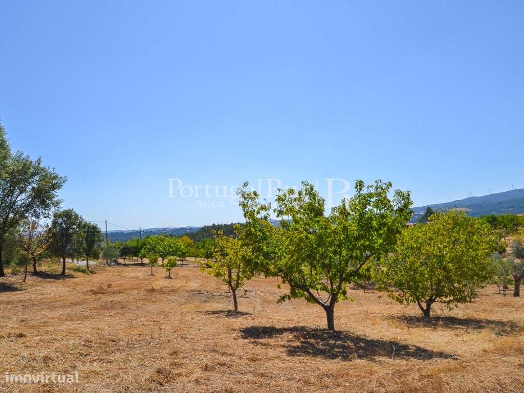 Terreno Rústico para cultivo com anexo - Grande imagem: 5/15