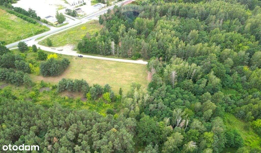 Działka budowlana 3000m2, Czekaj gm. Mszczonów - Pełny obrazek: 5/6