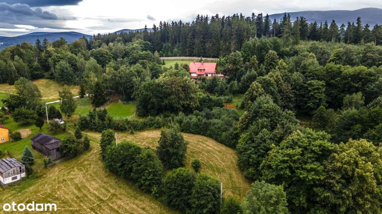 Cisza I Spokój ! - Pełny obrazek: 5/6
