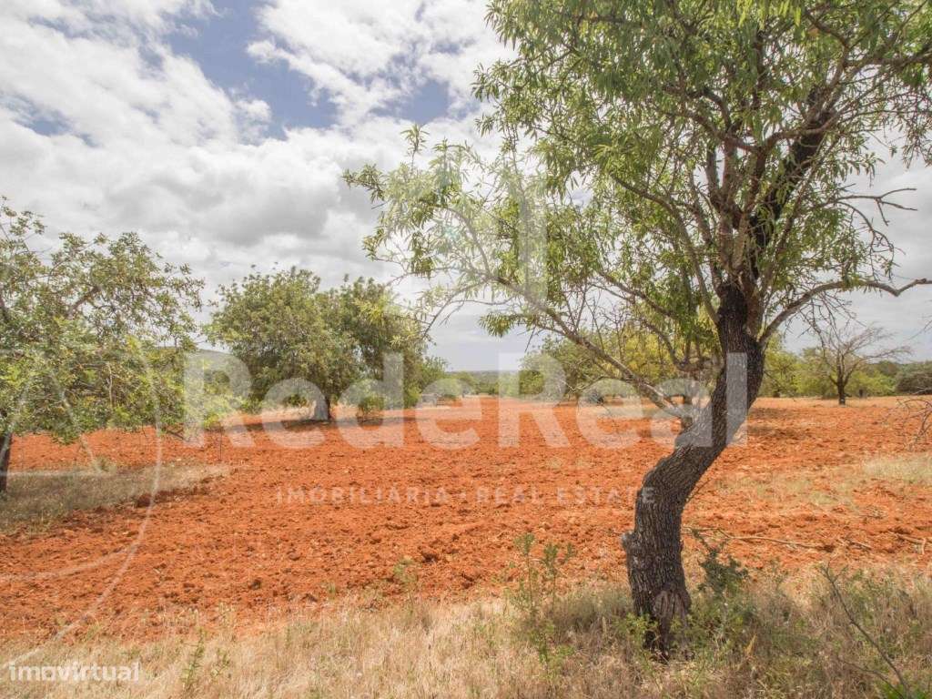 Terreno Rústico, Loulé, Boliqueime - Grande imagem: 4/5