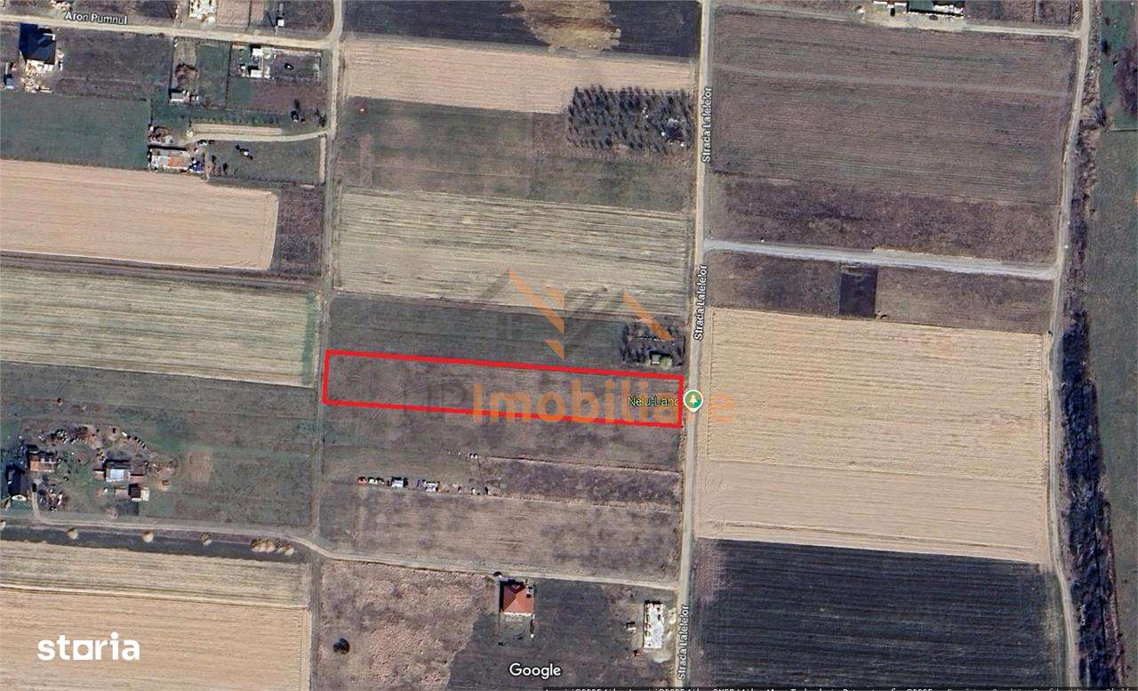 TEREN INTRAVILAN | 3837 mp | CIHEI | BIHOR - Imagine principală: 3/6