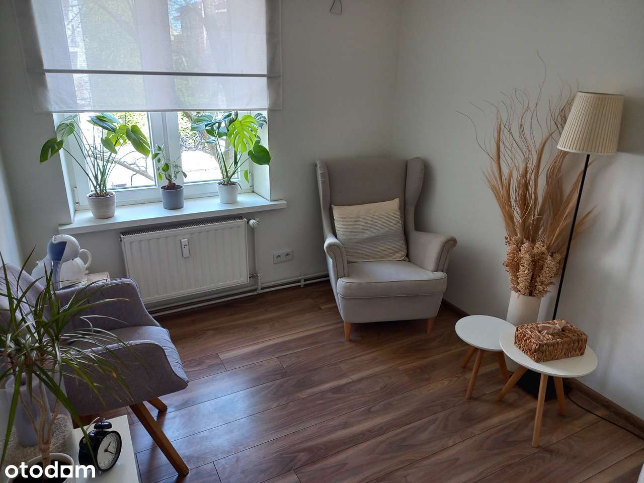 1-soban stan, 50 m²