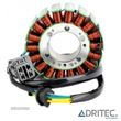 STATOR CAN AM DS 250 (2008-2016) - 1