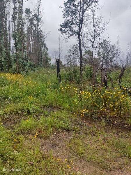 Terreno para construção - Grande imagem: 5/10