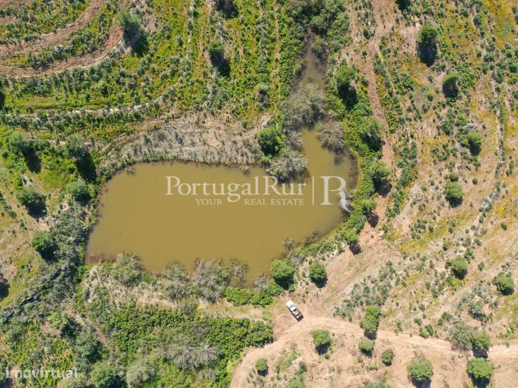 Herdades de Caça com 1300 Hectares, junto do rio Guadiana-14