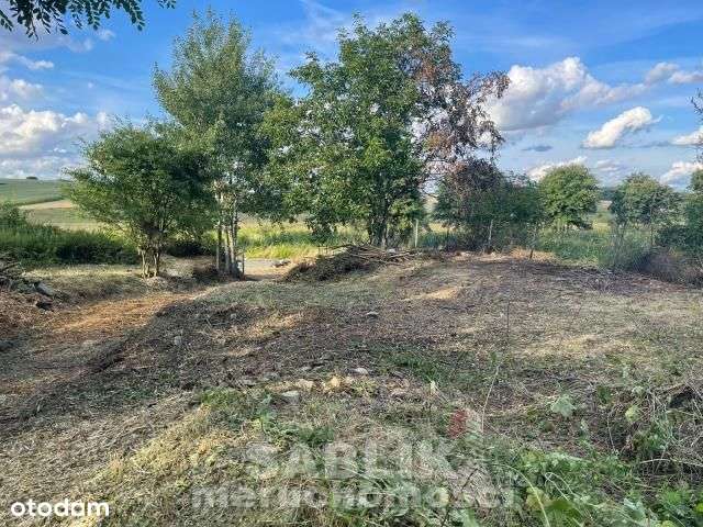 działka budowlana, 12 600 m2,Kuropatnik, Gmina Str-6