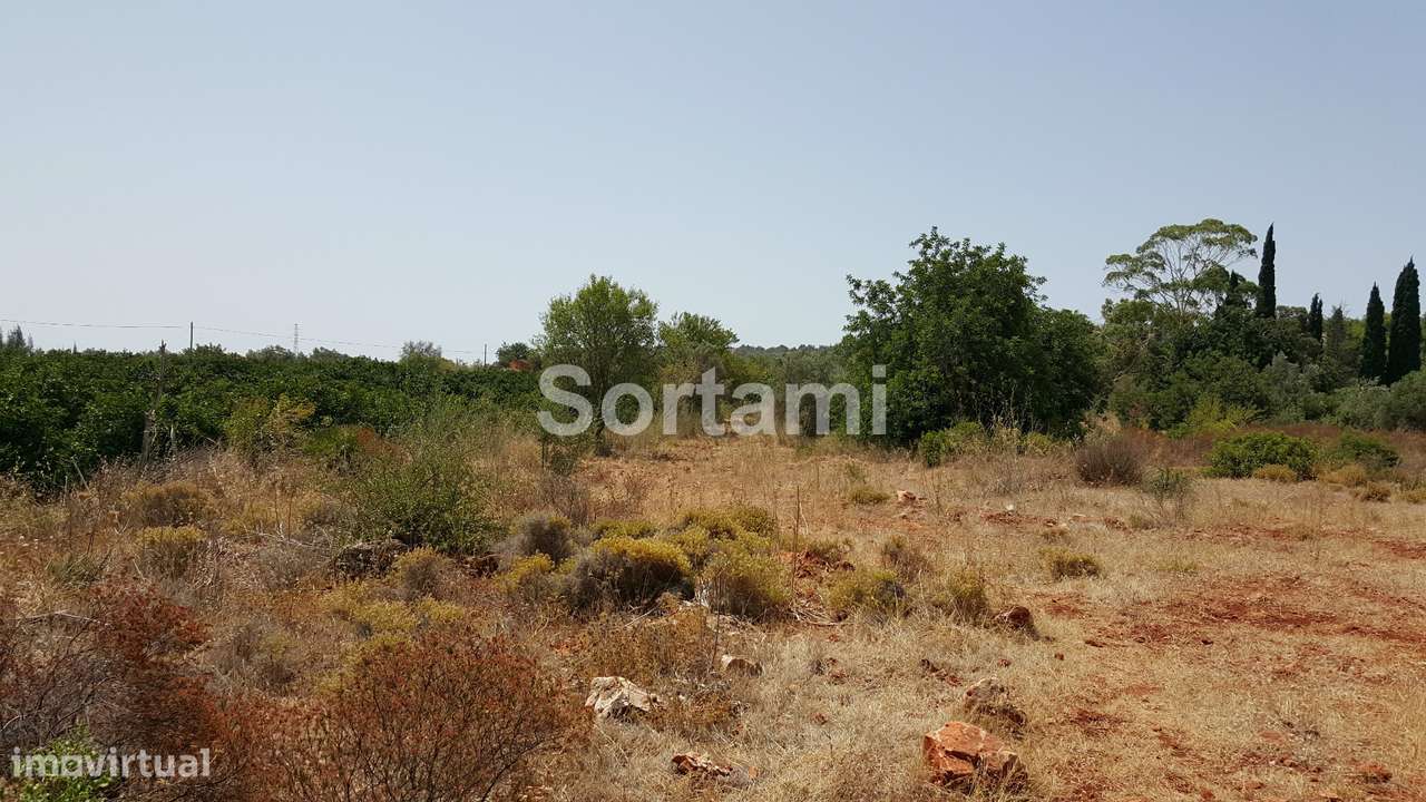 Terreno Rústico  Venda em Paderne,Albufeira - Grande imagem: 3/4