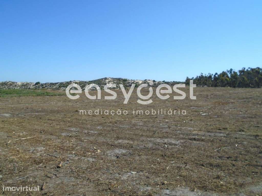 Terreno com 20000 m2 e uma Excelente vista mar em Vale Furado - Grande imagem: 4/20