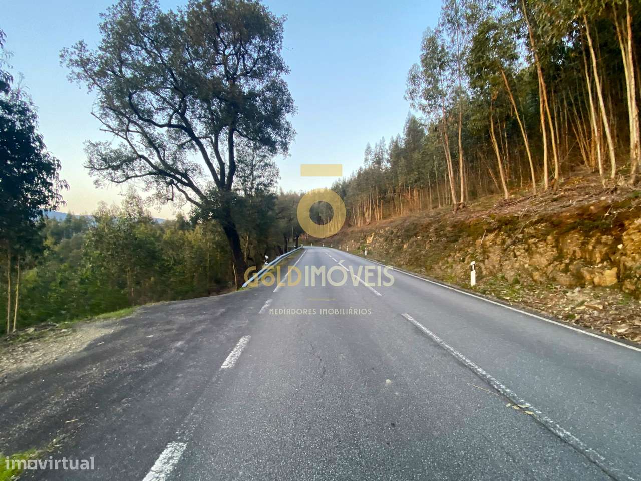 Terreno Florestal - Grande imagem: 5/10