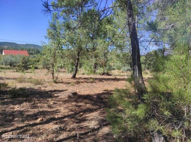 Quinta / Fundão, Enxames - Grande imagem: 5/14