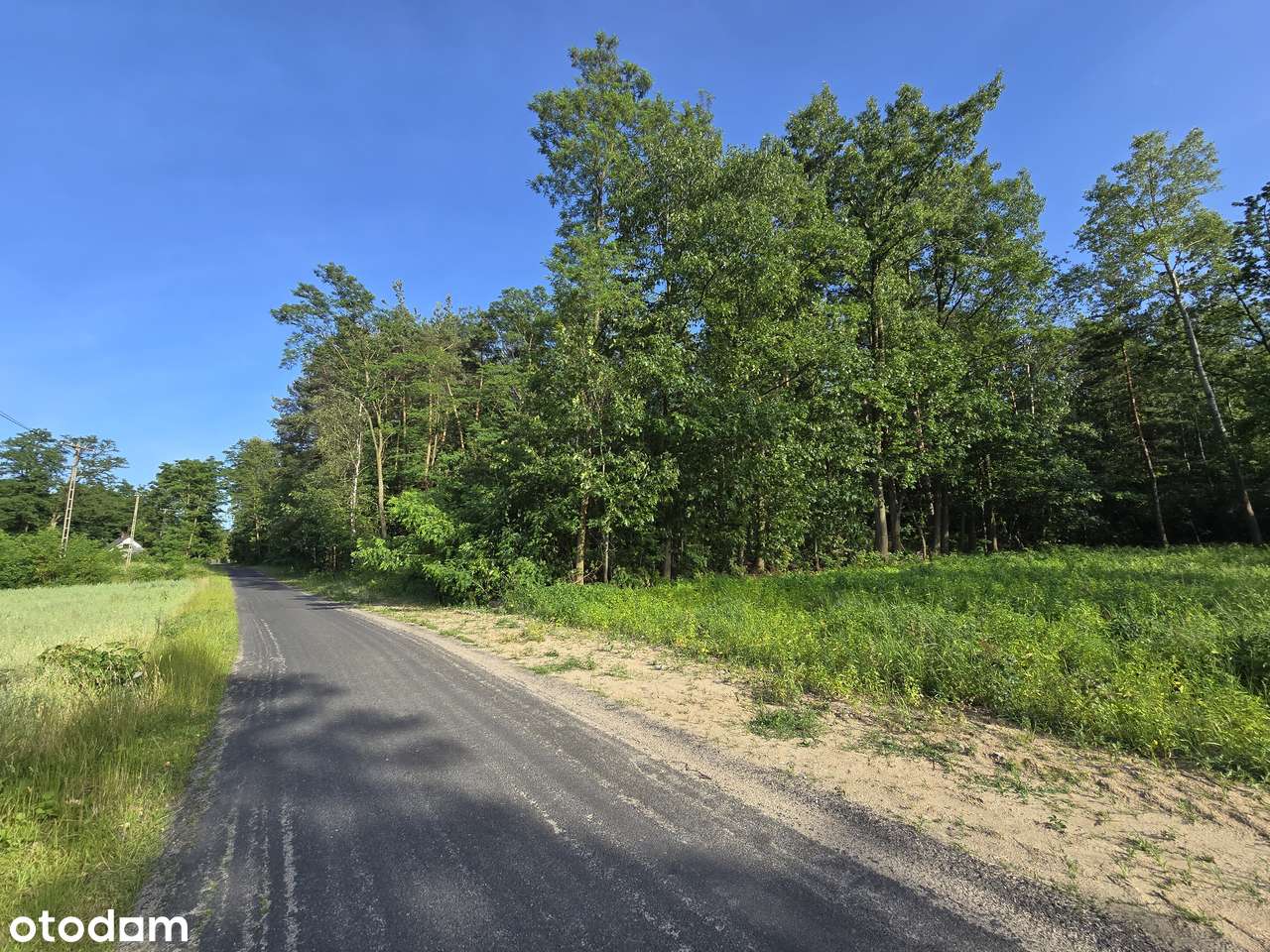 Działka budowlana z własnym lasem 40 min od W-wy gmina Mszczonów - Pełny obrazek: 5/10