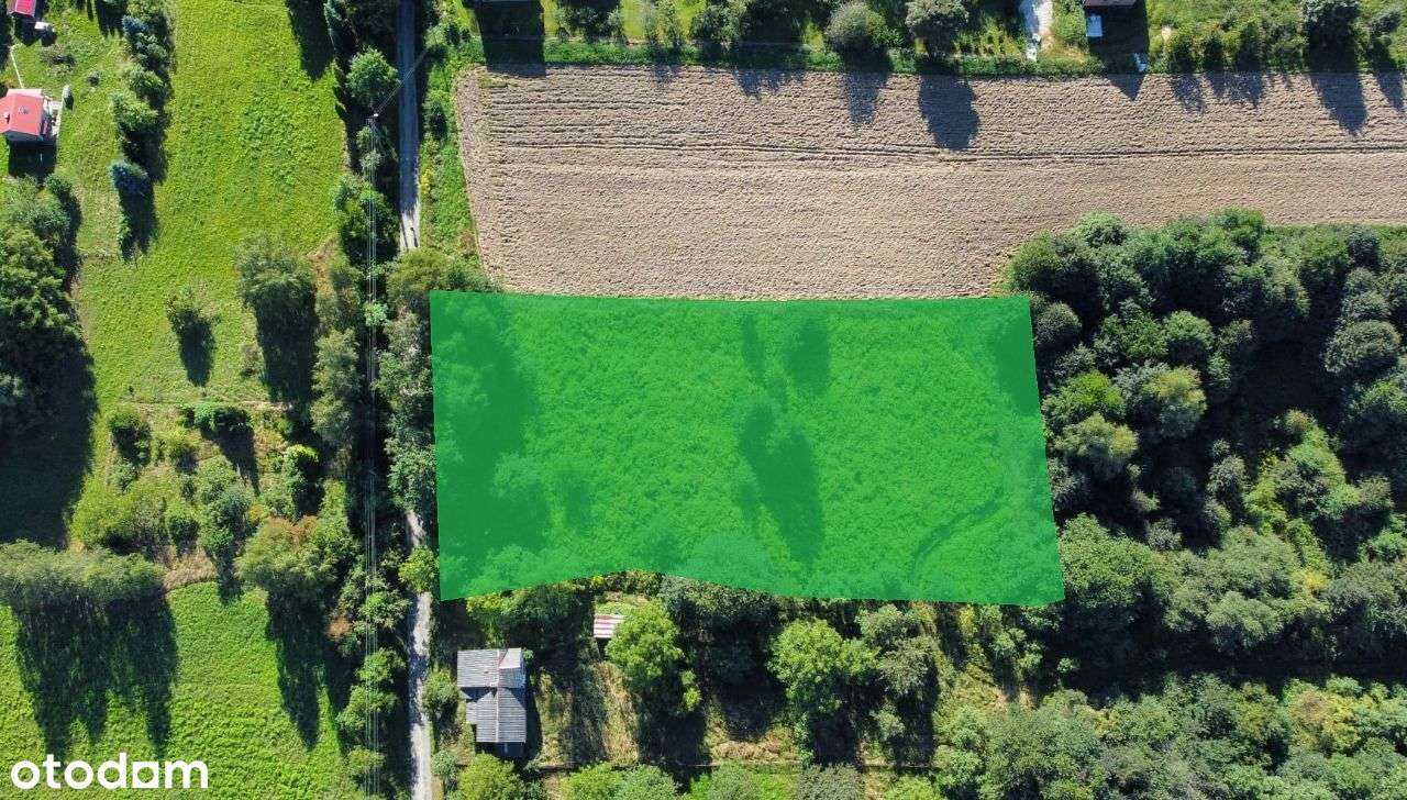 Płaza, 33 arów, budowlana-rolna - Pełny obrazek: 2/5