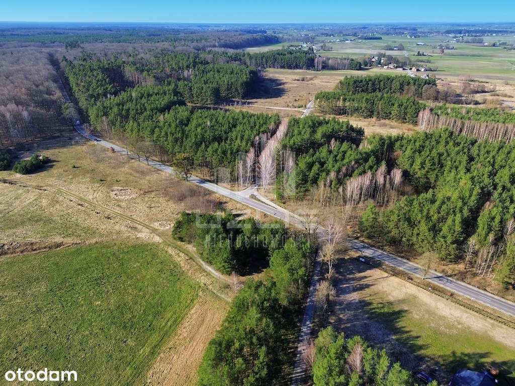 Działka pośród terenów zielonych, Bory Tucholskie - Pełny obrazek: 5/18