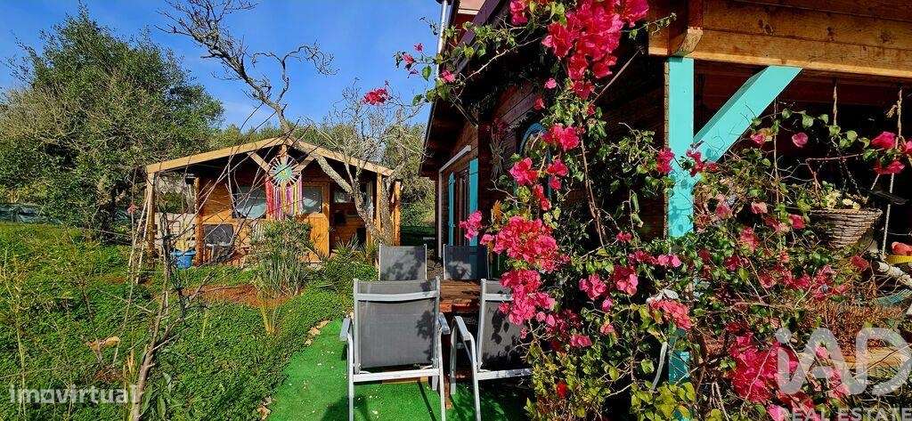 Terreno Agrícola em Barão de São Miguel - Grande imagem: 2/29