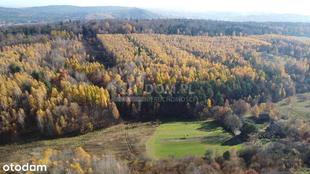 Działka na sprzedaż Cisów-1