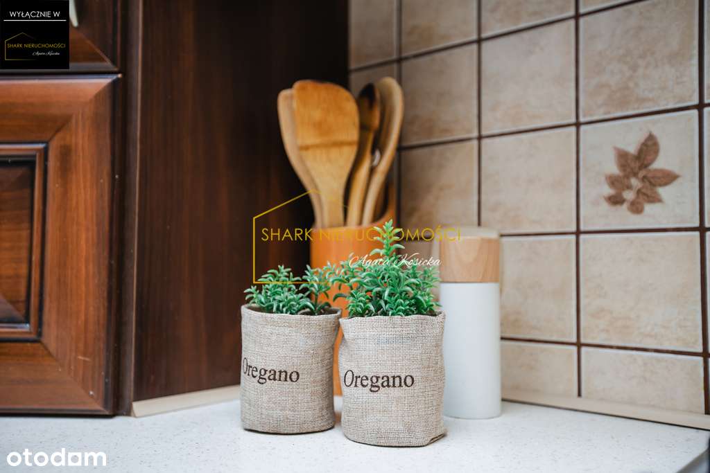 Urokliwe mieszkanie w spokojnej okolicy-11