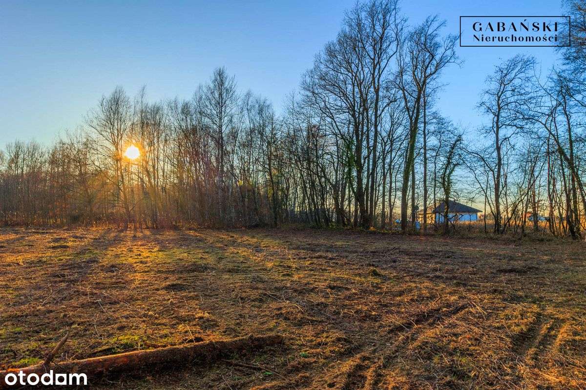Działka budowlana na sprzedaż - Zaczarnie-11