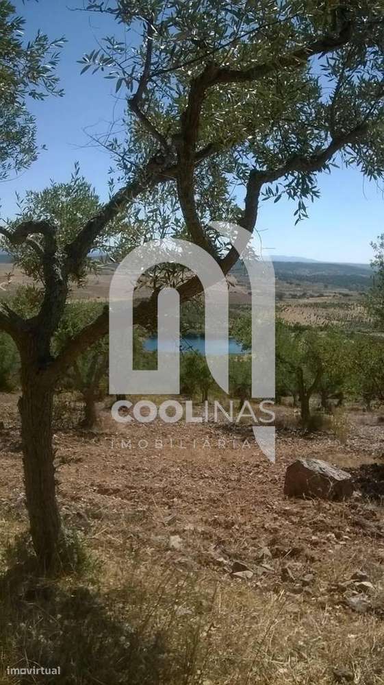 Turismo Rural T 7, Monforte da Beira-36