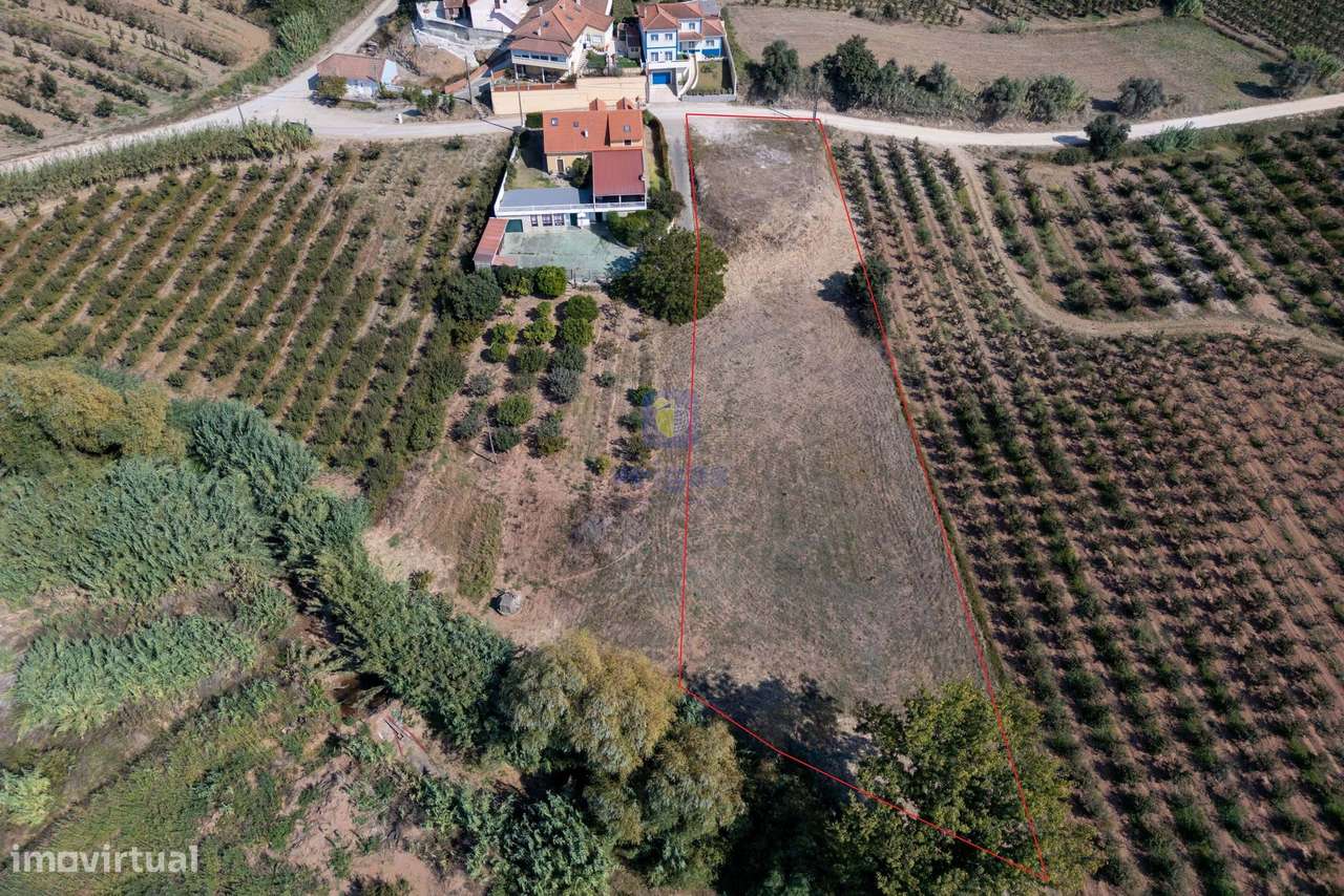 Exclusivo! Terreno urbanizável com 3.020m2 na Vermelha, Cadaval - Grande imagem: 5/24