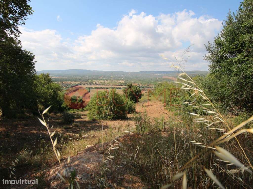 Terreno Urbano com Projeto Aprovado em Paderne, Albufeira - Grande imagem: 3/9