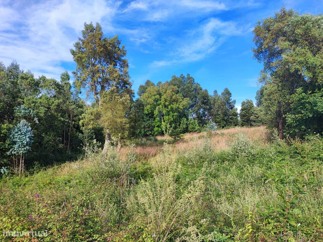 Terreno para construção de moradia em Serzedo - Perosinho - Grande imagem: 4/5