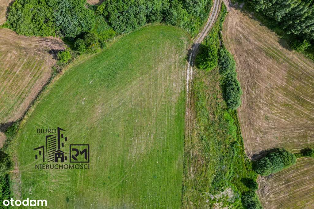 Działka inwestycyjna o pow. 2,8 ha - Pełny obrazek: 5/12