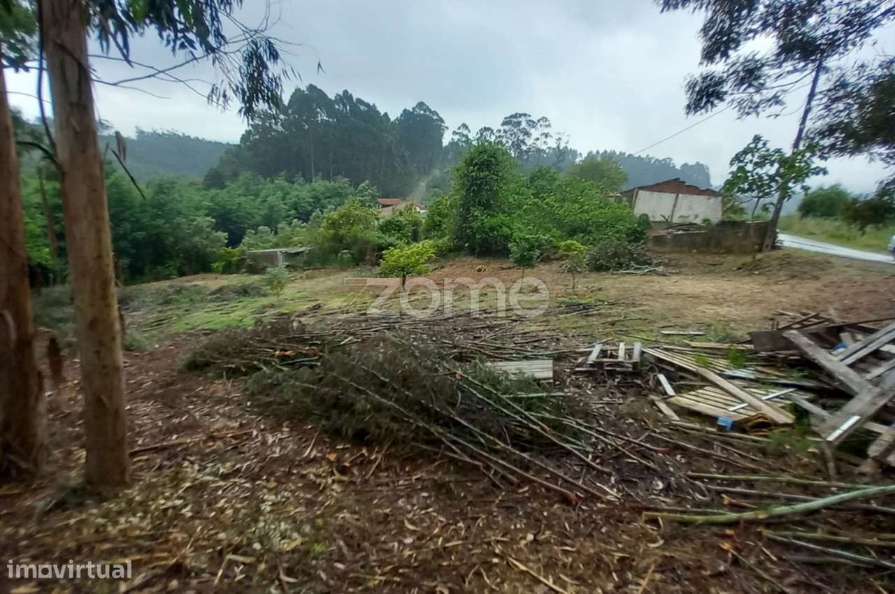 Terreno, 1 350 m², Luso - Grande imagem: 1/15