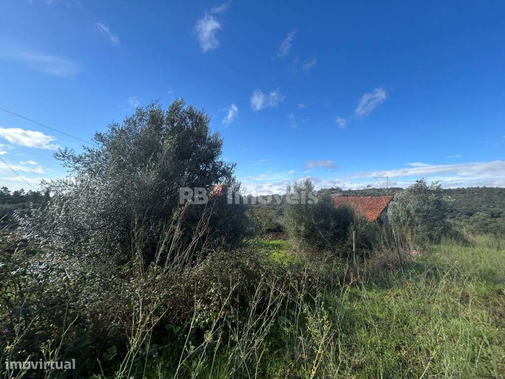 2 Terrenos rústicos c/ PDM urbano - Carvalhal da Póvoa, Tomar - Grande imagem: 5/24