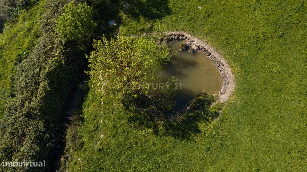 Terreno em Mourão - Alentejo - Grande imagem: 4/16