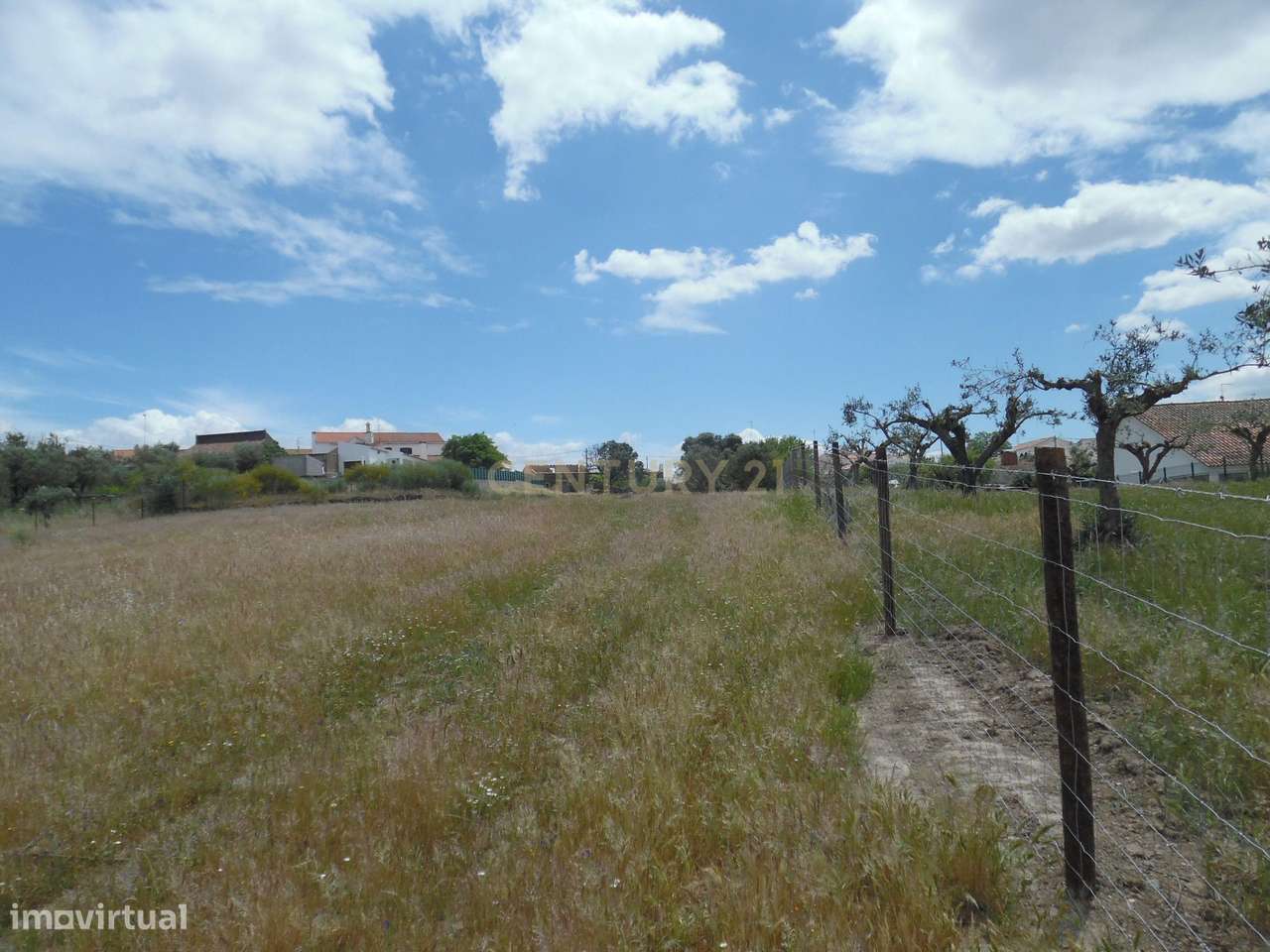 Quinta em Capelins,  Alandroal - Évora,  Oportunidade Única-35