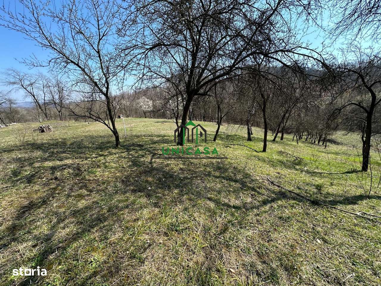 Teren Govora / 8131mp - Imagine principală: 3/7