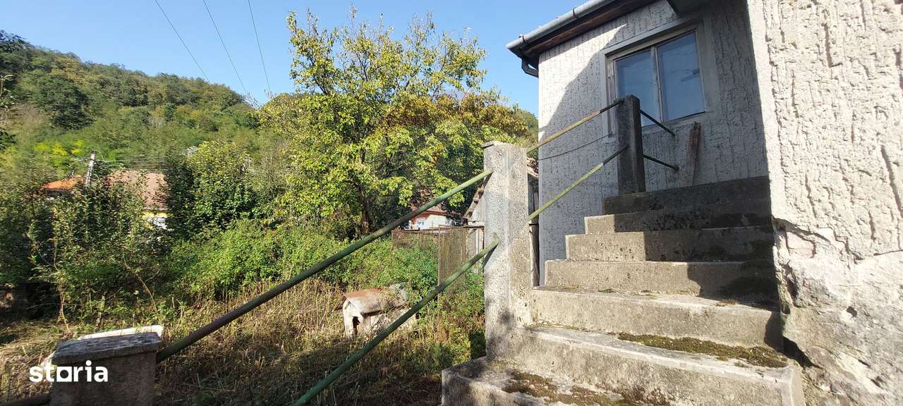 Casă  individuala cu teren generos-2