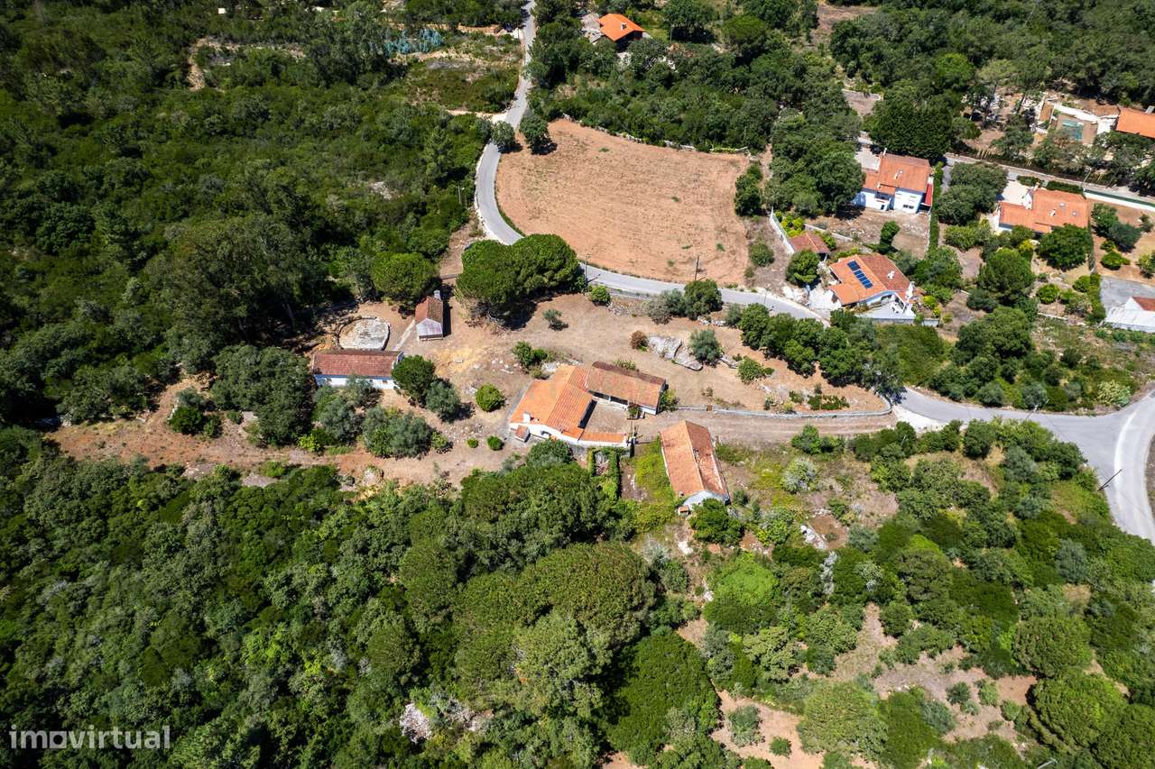 MORADIA/QUINTA EM ALCOBAÇA, LAGOA DO CÃO - Grande imagem: 4/60