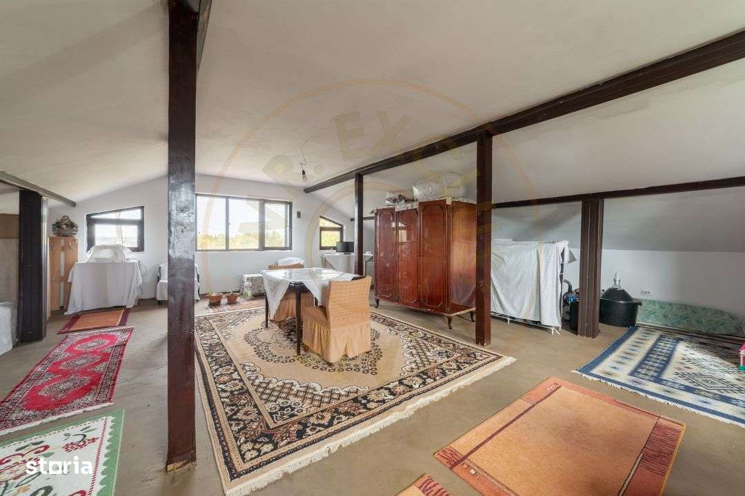 Casa P+M cu teren 2788 mp COCU -RACHITELE ARGES-17