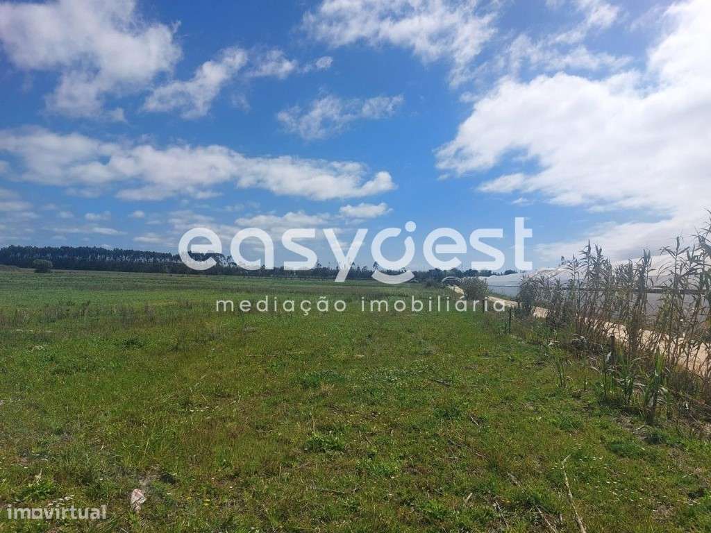 Terreno Rústico com 39.390m2 localizado na freguesia de São Teotónio - Grande imagem: 4/15