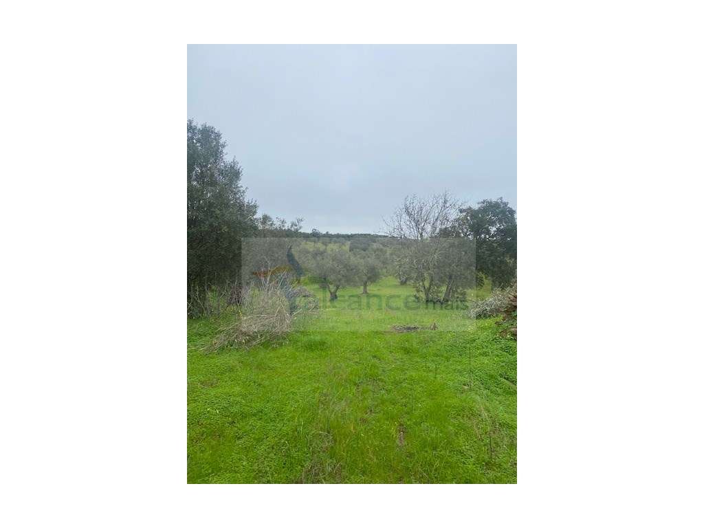 Terreno Misto em Vila Verde de Ficalho - Serpa (Beja, Portugal)-6
