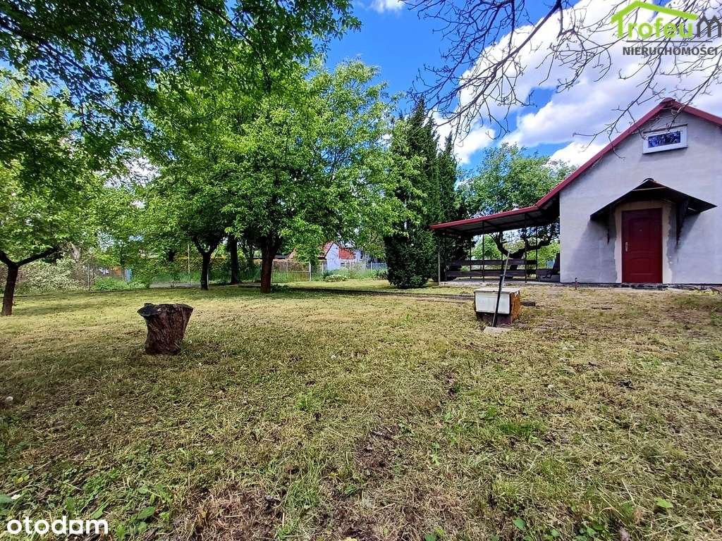 Duża działka ROD Chemik! - Pełny obrazek: 5/9