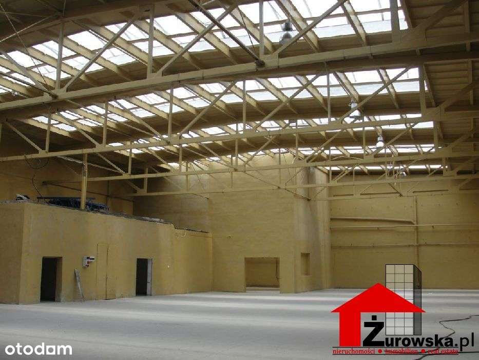 Hala/Magazyn, 1 000 m², Myszków - Pełny obrazek: 2/3