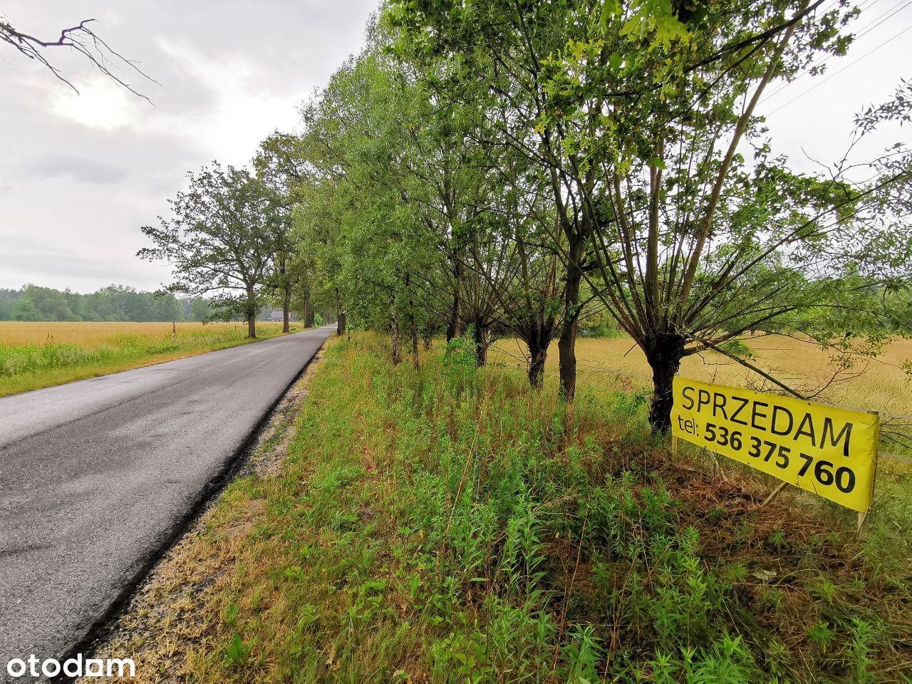 Działka 0,96 ha, pod rezydencję lub agroturystykę!