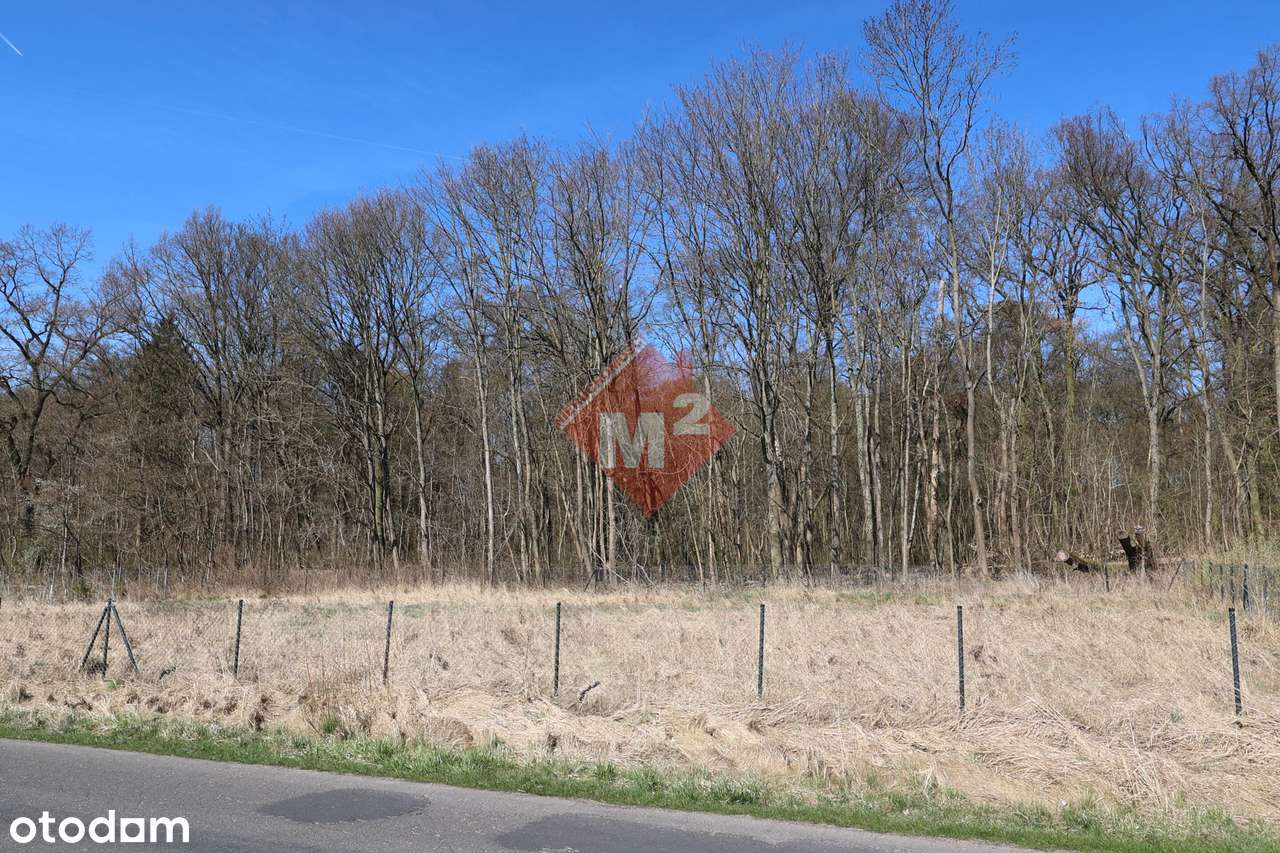 Działka budowlana na sprzedaż - Wierzchląd-5